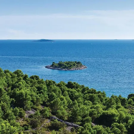 1 Bedroom Cozy In Apartamento *